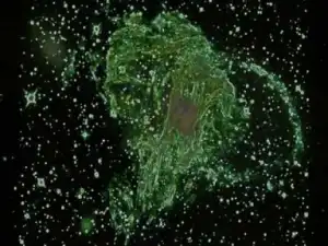 Texas - Alone with you